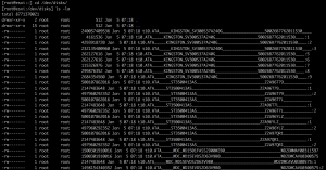 list of physical esxi hard drives